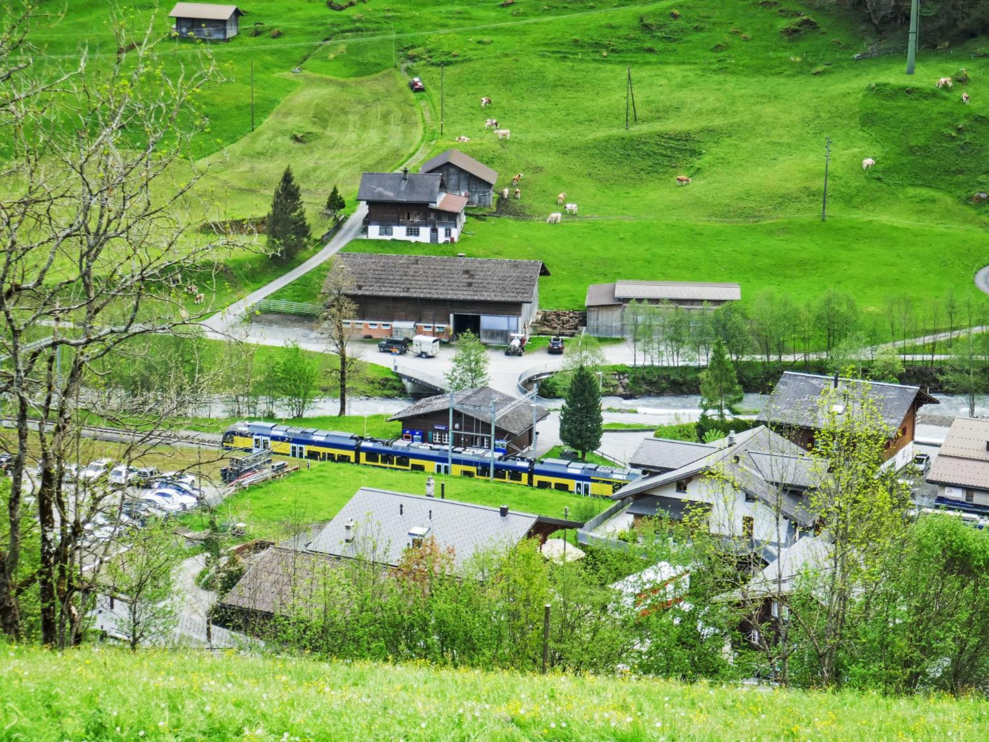 Apartment Chalet Auf Dem Vogelstein-2 By Interhome Grindelwald Exteriör bild